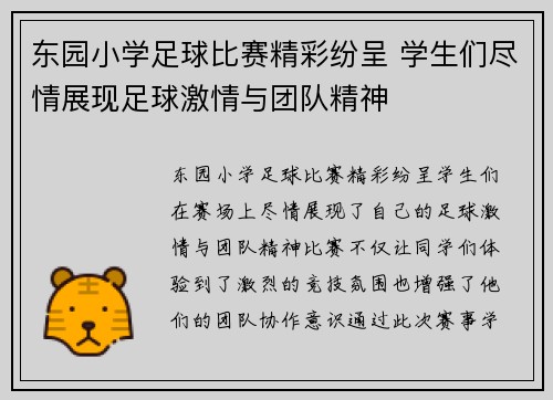 东园小学足球比赛精彩纷呈 学生们尽情展现足球激情与团队精神