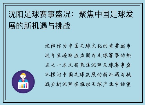 沈阳足球赛事盛况:聚焦中国足球发展的新机遇与挑战