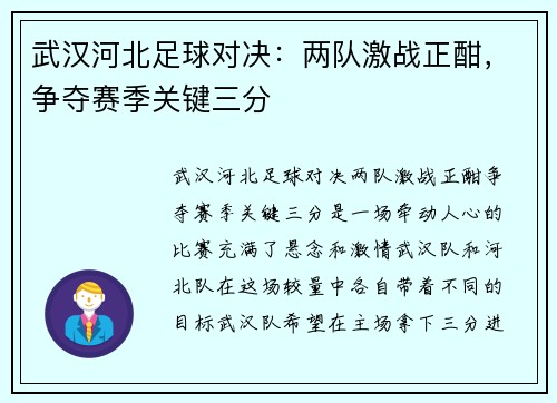 武汉河北足球对决：两队激战正酣，争夺赛季关键三分