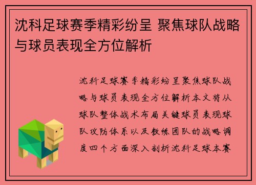 沈科足球赛季精彩纷呈 聚焦球队战略与球员表现全方位解析