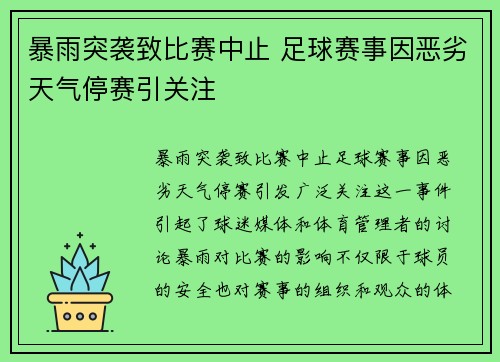 暴雨突袭致比赛中止 足球赛事因恶劣天气停赛引关注