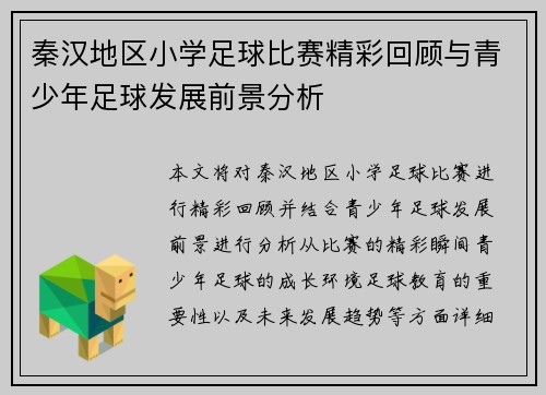 秦汉地区小学足球比赛精彩回顾与青少年足球发展前景分析