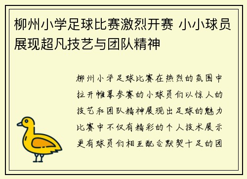 柳州小学足球比赛激烈开赛 小小球员展现超凡技艺与团队精神